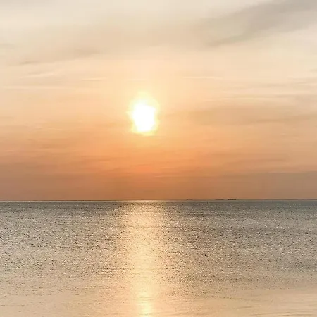 Rubinsoen Skovhuse *