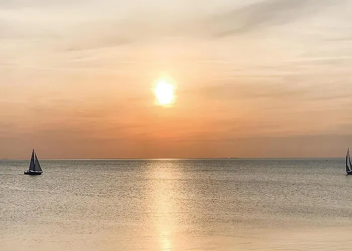 Rubinsoen Skovhuse *